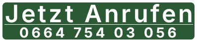 Anruf button